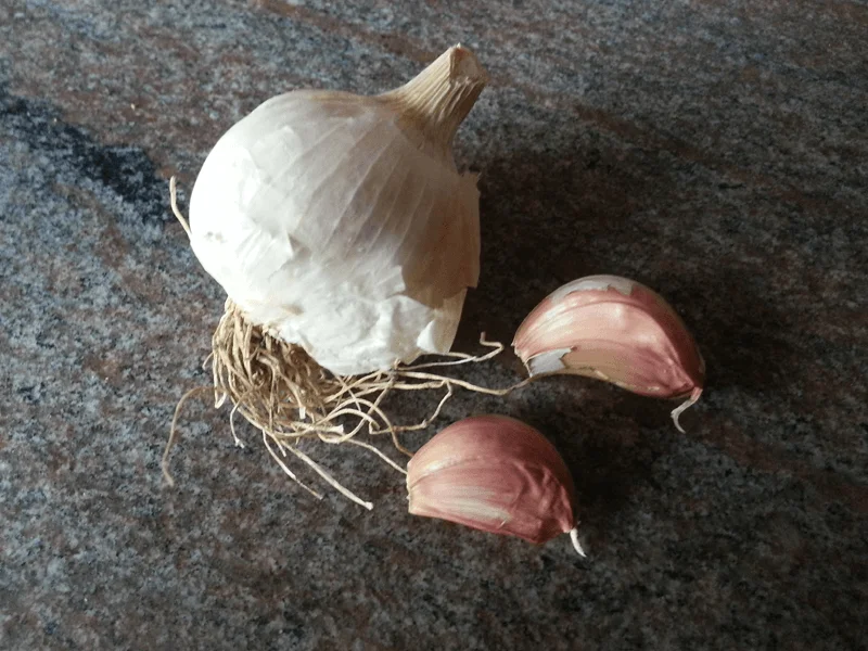 Aglio rosso di Nubia