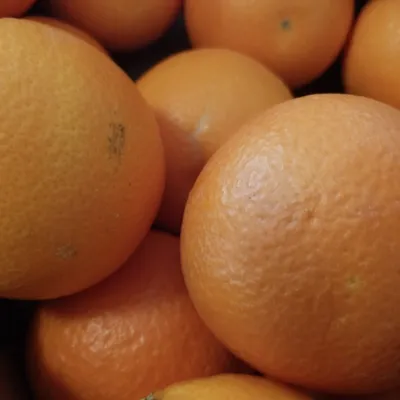 Arancia di Ribera DOP