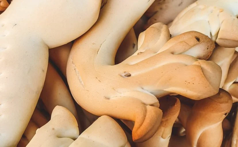 Biscotti di Natale di Barrafranca a forma di S dorati su tovaglia natalizia