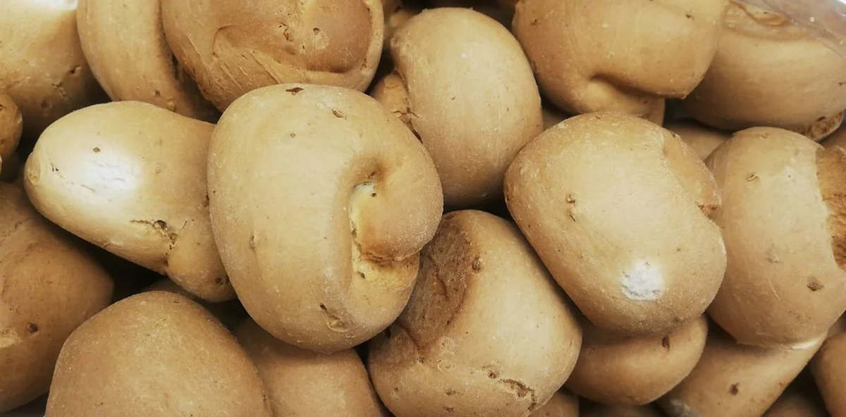 Biscotti di San Martino: Un dolce immancabile nella tradizione siciliana