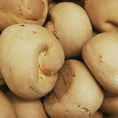 St Martin’s Biscuits: A Timeless Sicilian Tradition