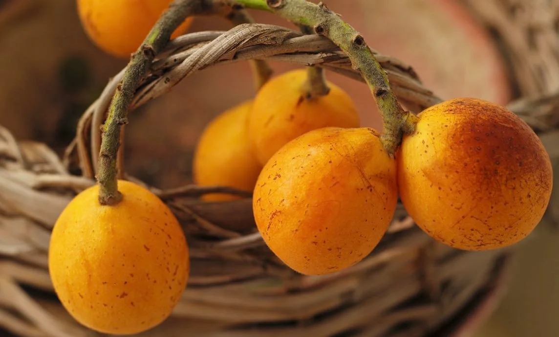 Sicilian loquat jam in a jar with fresh fruit and green leaves