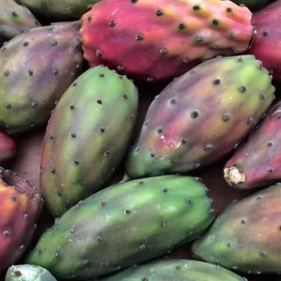 Ficodindia di San Cono DOP