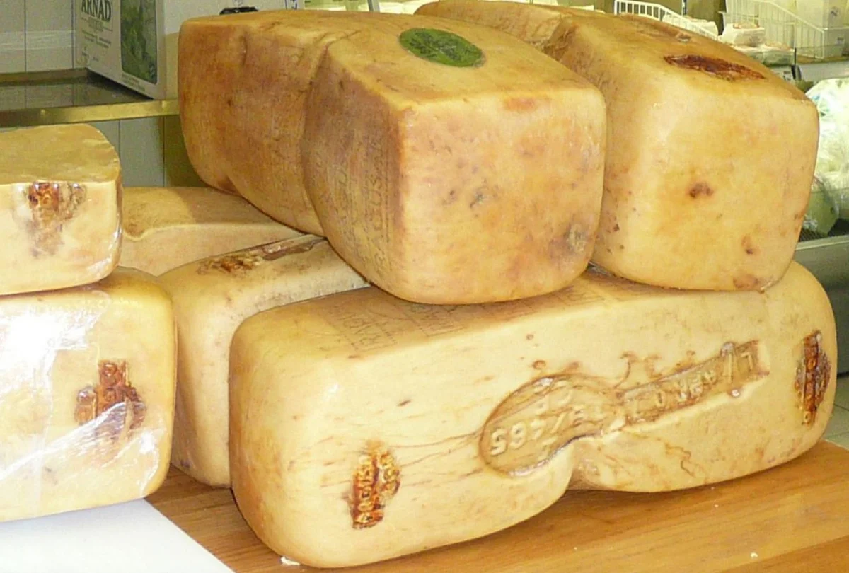 Formaggio Ragusano DOP
