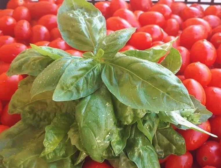 Lo zucchero nella salsa di pomodoro: Sei pro o contro?
