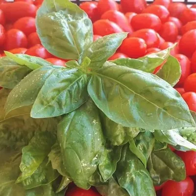 Lo zucchero nella salsa di pomodoro: Sei pro o contro?