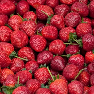 Marmellata di fragole: dolce tradizione di primavera