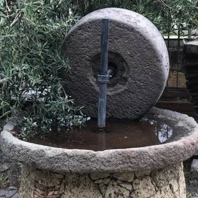 Olio extravergine di oliva Monte Etna DOP