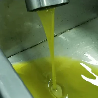 Olio extravergine di oliva Nocellara del Belice DOP