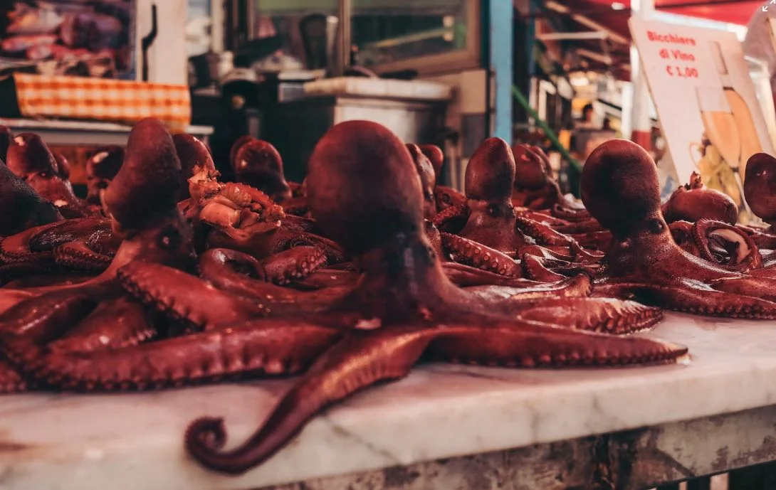 L'origine dei mercati palermitani: Una storia di multiculturalità e tradizione