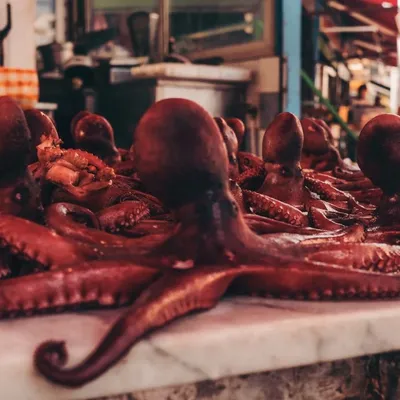 L'origine dei mercati palermitani: Una storia di multiculturalità e tradizione