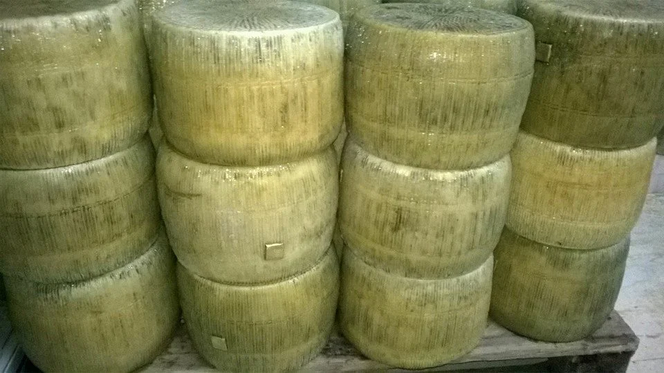 Pecorino siciliano DOP