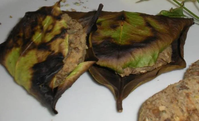 Polpette in foglia di limone appena cotte su griglia, con foglie dorate e profumate