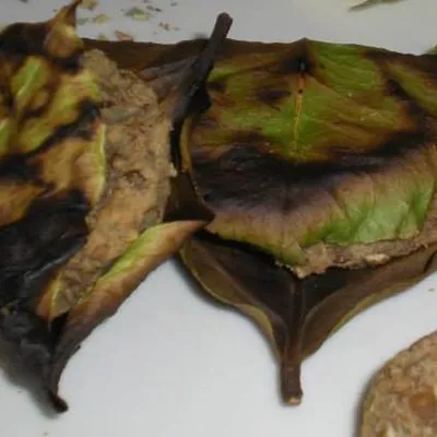 Polpette in foglia di limone: Squisita tradizione etnea