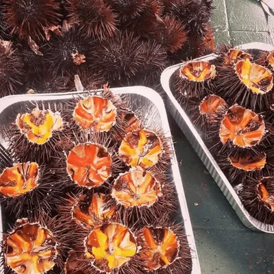 Ricci di mare col pane: l’essenza del mare in un morso