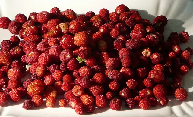 Bottiglia e bicchierini di rosolio di fragoline su tavolo in legno