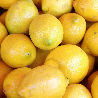 Rosolio di limoni