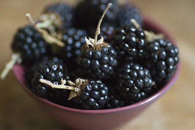 Bottiglia di rosolio di more siciliano con more fresche su maiolica