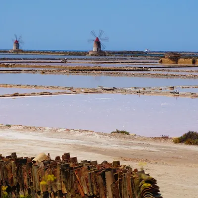 Sale marino di Trapani