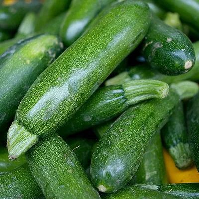 Zucchine